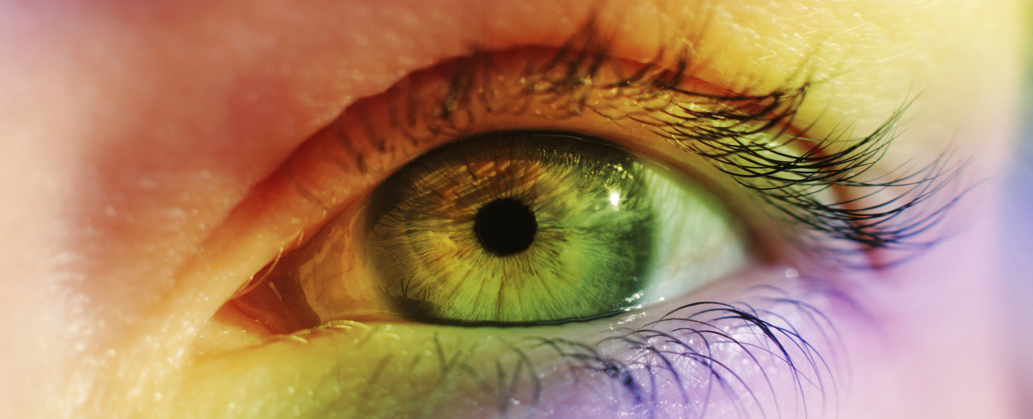 "Expanding Human Vision: The Promise of Lab-Grown Retinas and Enhanced Color Perception"