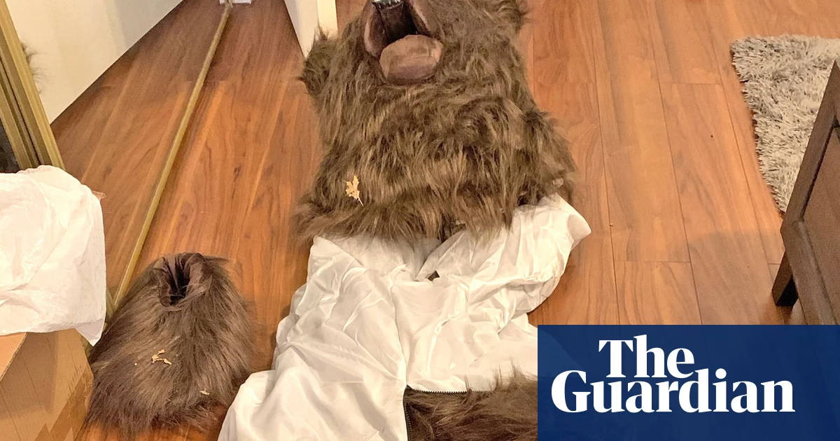 Featured image for California Car Insurance Scam Unveiled: Fake Bear Attacks with Costume