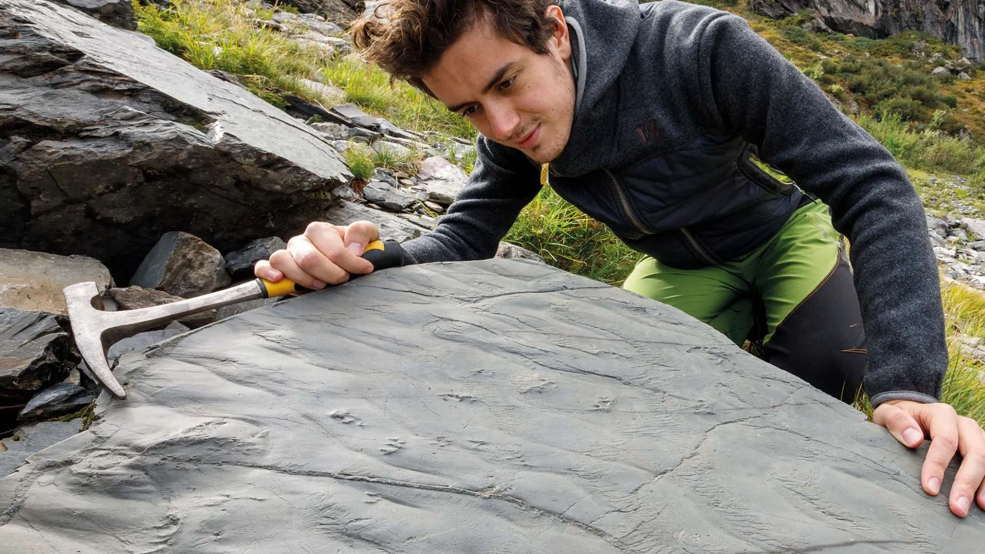 Featured image for Hiker Uncovers 280-Million-Year-Old Ecosystem in Alps