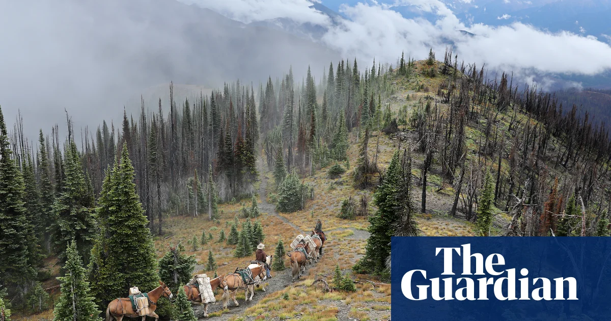 Montana's Youth Climate Trial: A Dramatic Fight for a Greener Future.