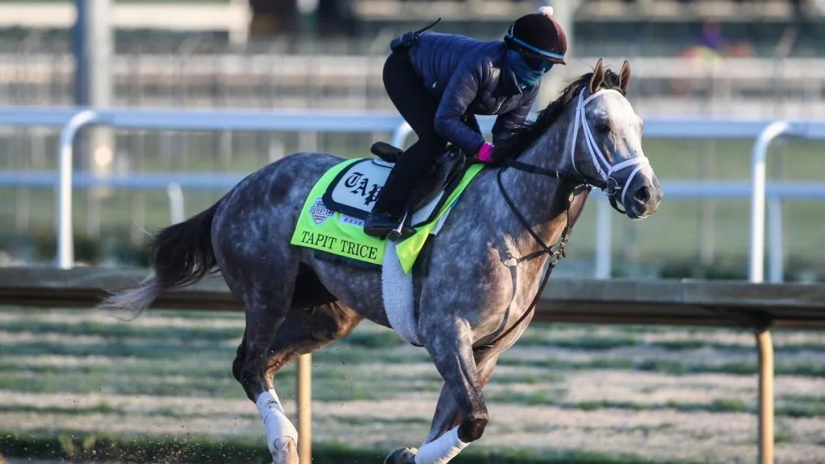 "Expert picks top contenders for 2023 Kentucky Derby"