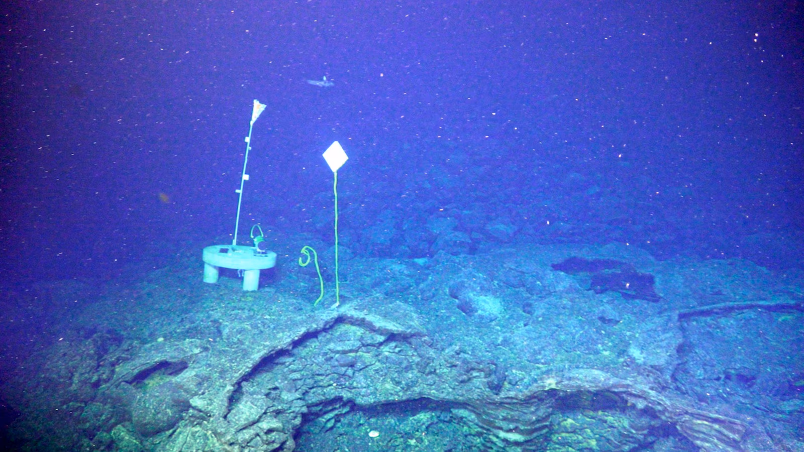 Featured image for Potential Eruption of Underwater Volcano Off US West Coast Sparks Concern