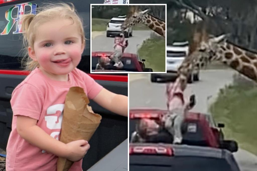 Featured image for Giraffe Lifts Toddler from Truck at Texas Safari in Dramatic Video