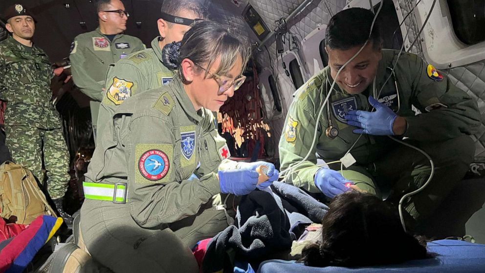 Surviving 40 days in Amazon rainforest after plane crash: Custody battle and heroic sister emerge.