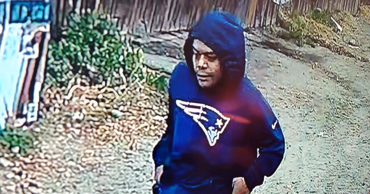 Fatal Stabbings in City Parks: San Diego and NYC