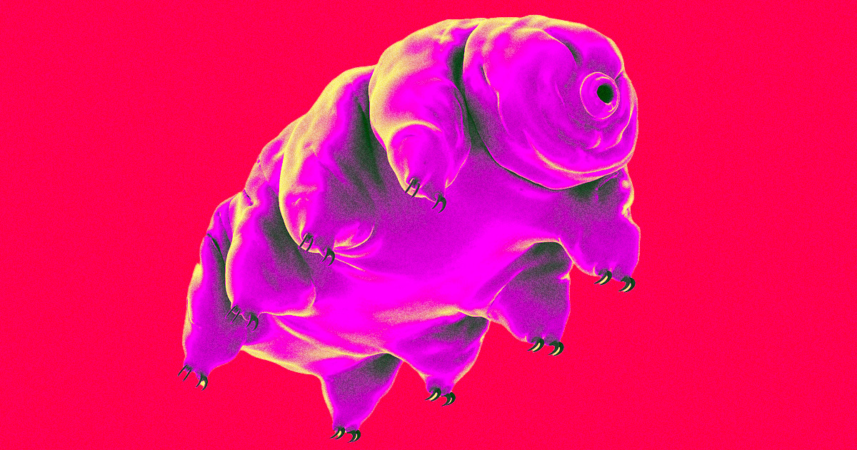 Featured image for "Human Cells Enhanced with Tardigrade Proteins Show Potential for Slowing Aging and Surviving Outer Space"