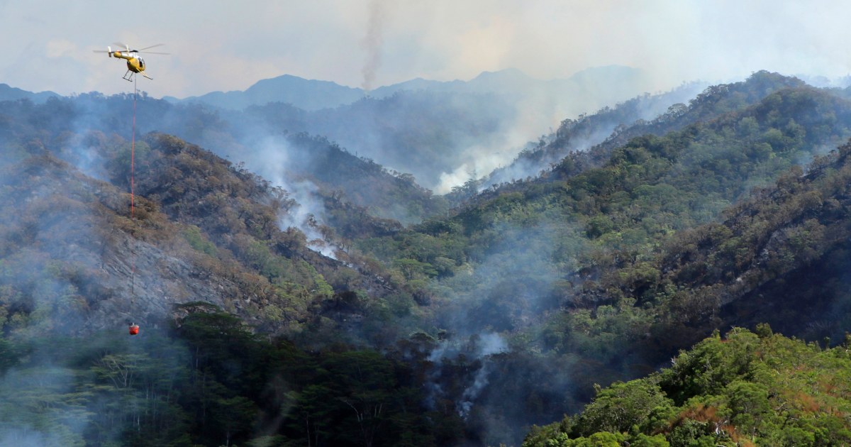 "Hawaii's Mililani Mauka Wildfire Threatens Rainforest and Communities"