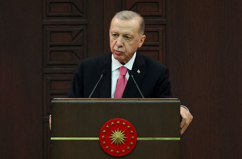 Erdogan offers support and mediation to Putin amidst tensions.