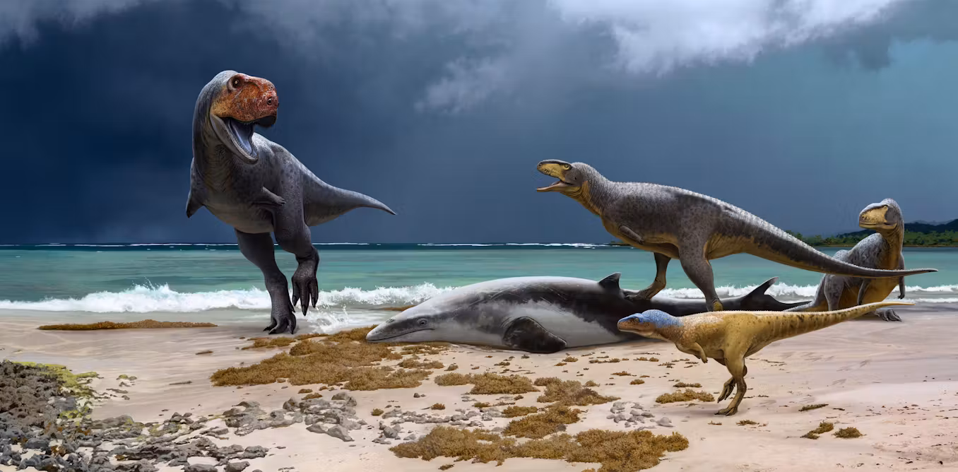 "Unearthing Clues: Morocco's Dinosaur Discovery and Extinction"