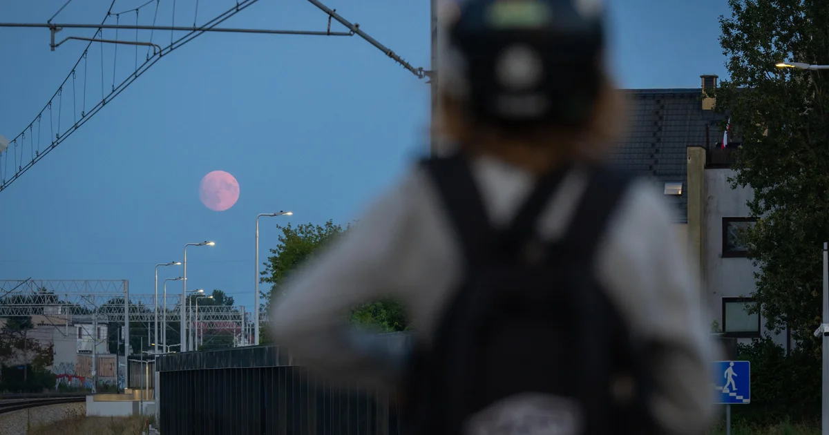 Featured image for Perseids Meteor Shower 2025: Peak Expectations and Moon's Impact
