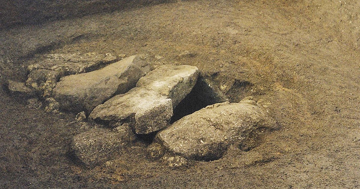 Featured image for "Revealing the Hidden Identity: Ancient Iron Age Warrior Unveiled as Female"