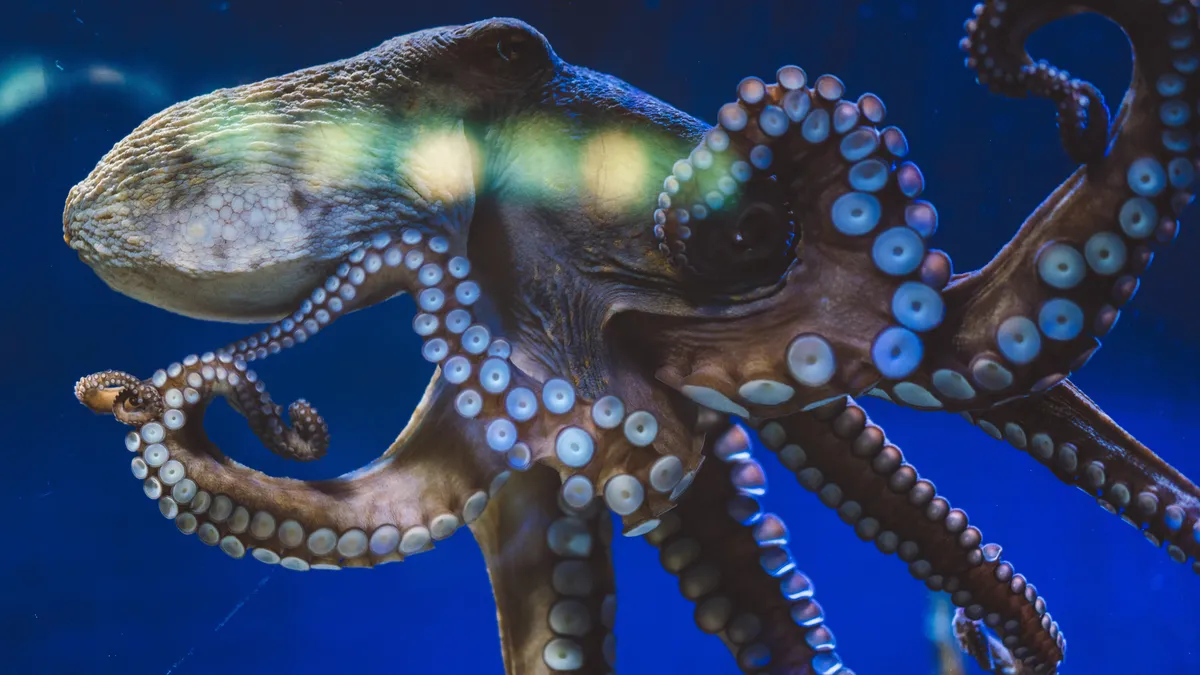 Featured image for Google's Jules AI: The Coding and UI Design Tool You Can Use Today