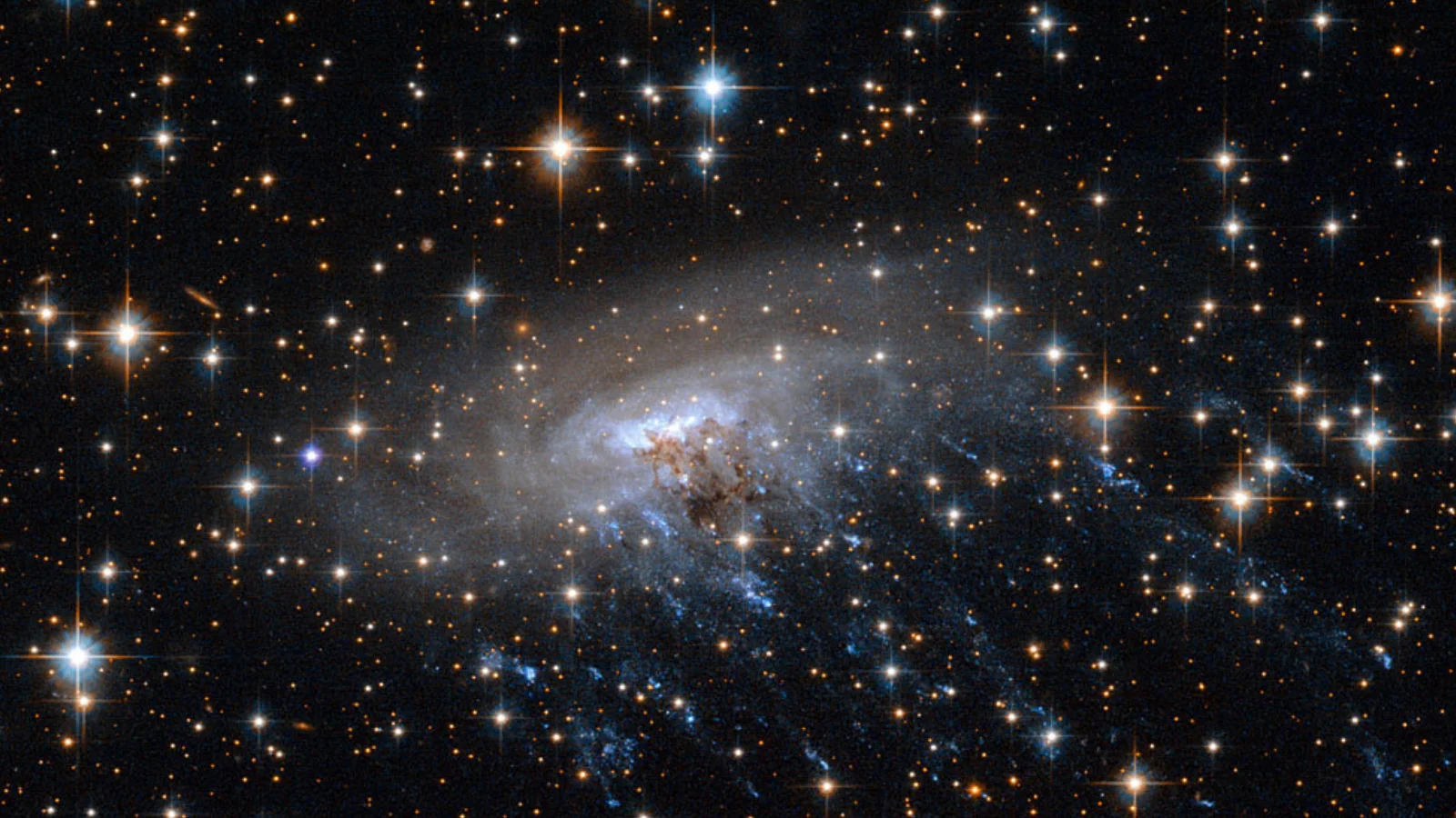 JWST unveils a cosmic jellyfish, offering clues to how galaxies evolved in the early universe