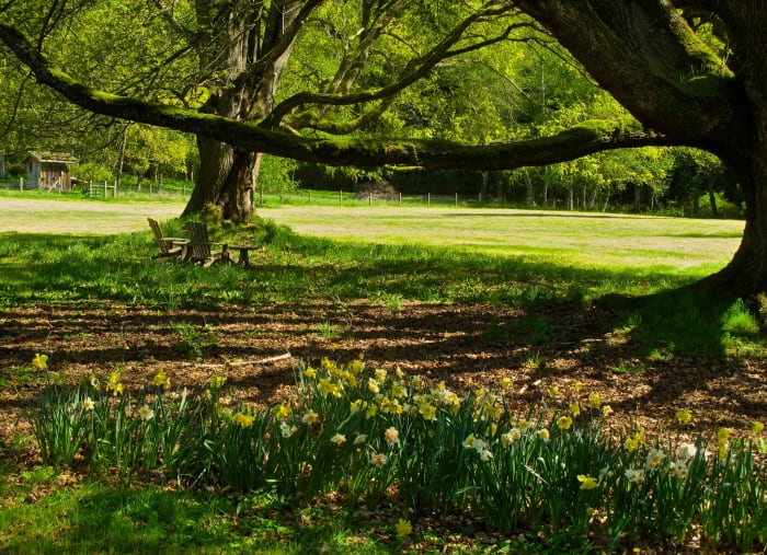 Featured image for "Springtime in Metro Detroit: Navigating Allergies and Colds"