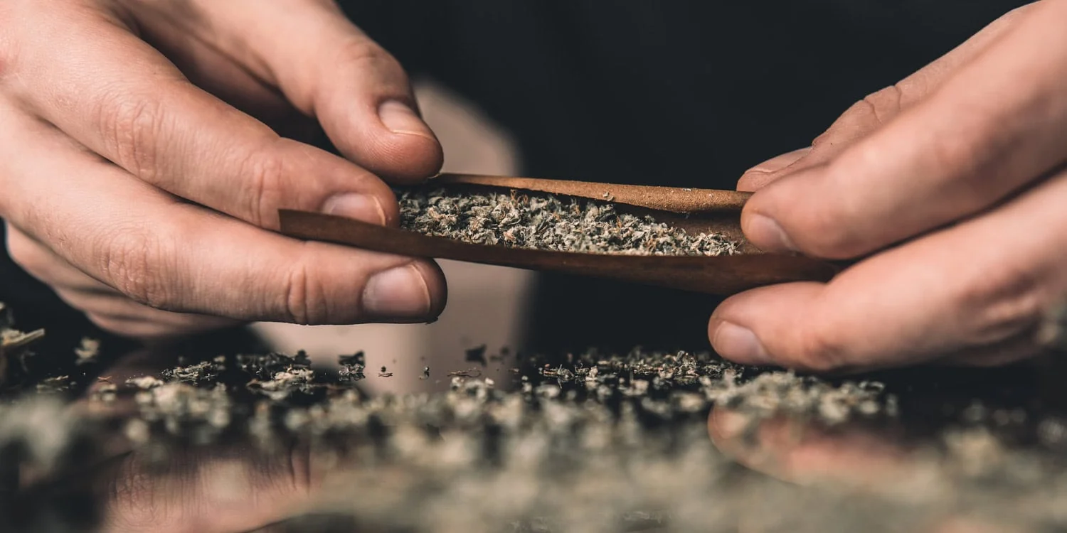 Featured image for Study Finds Subtle Cognitive Effects of Cannabis in Older Users