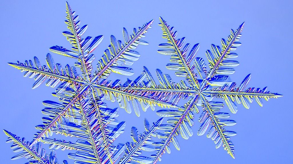 Featured image for The Enormous Potential of Snowflakes