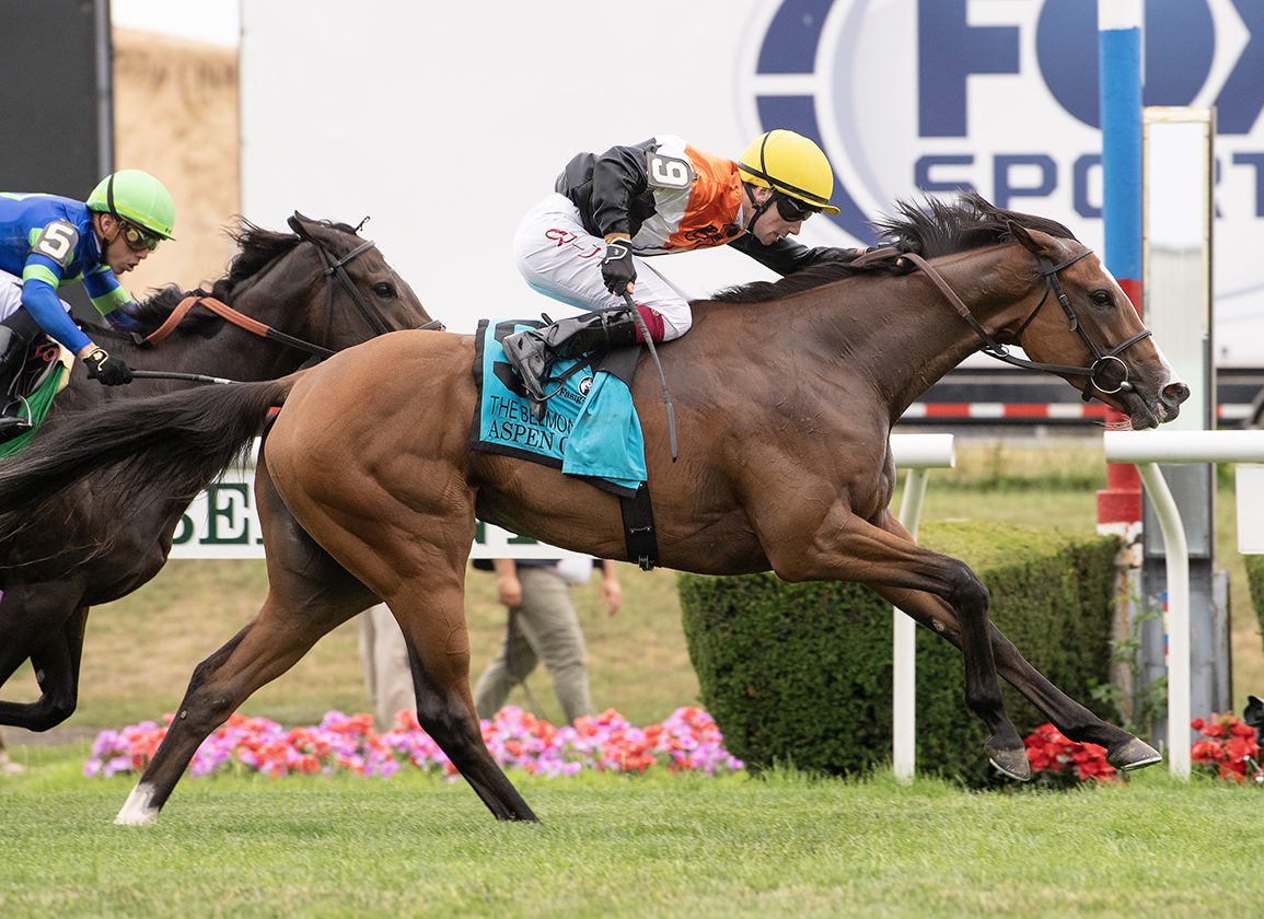 Featured image for Aspen Grove Dominates Belmont Oaks with Stunning Debut Performance