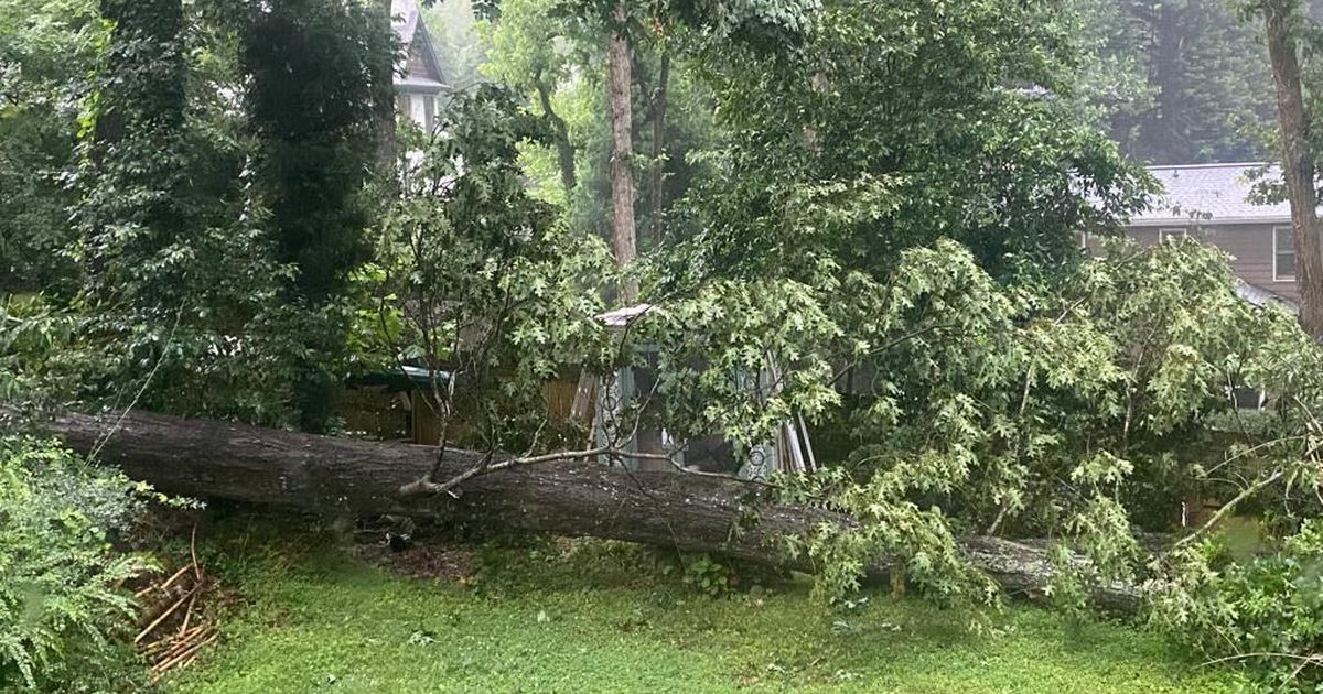 Severe storms cause widespread damage and power outages in Georgia.