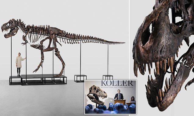 T-Rex Skeleton Sells for Record Breaking $6 Million at Auction.