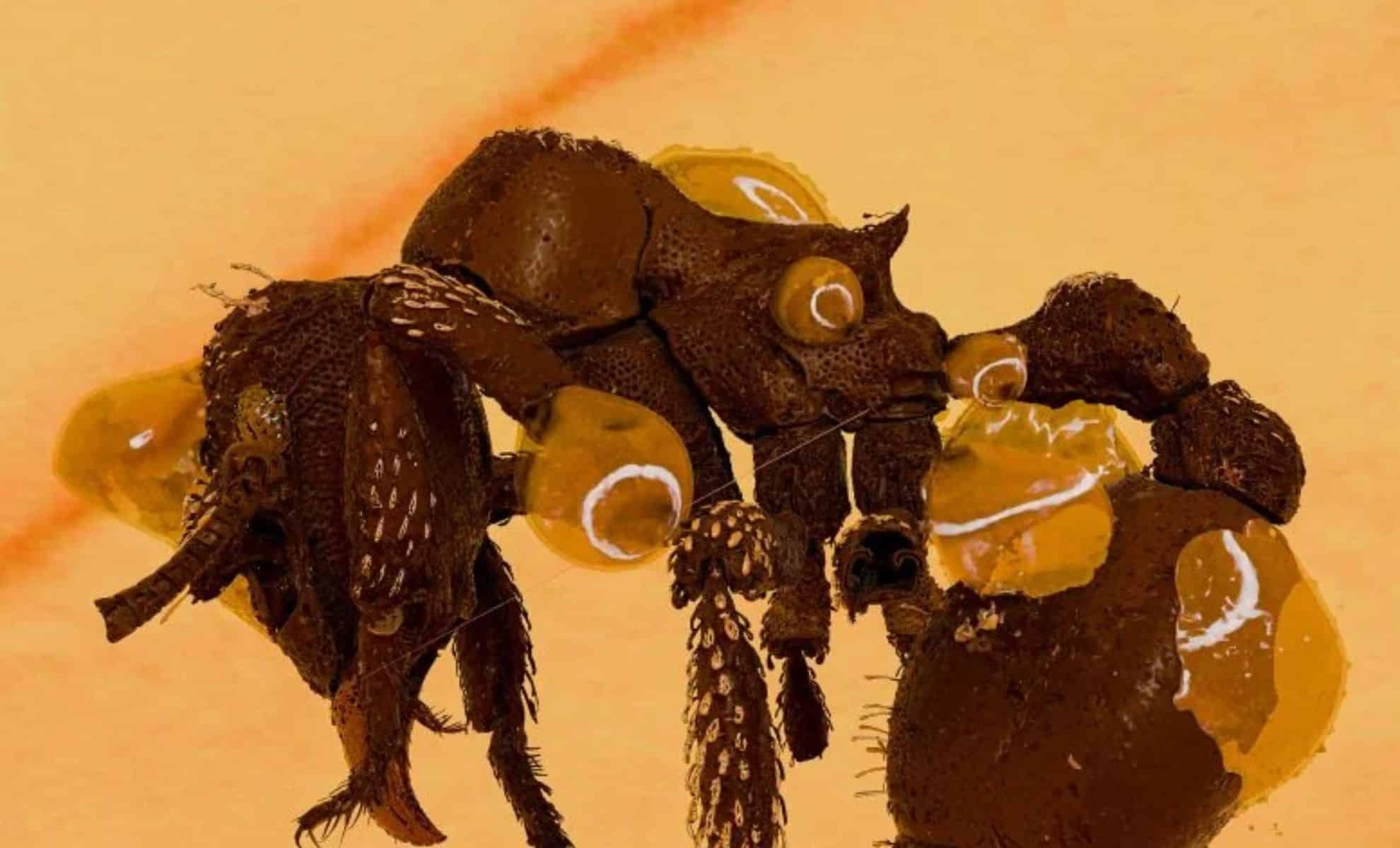 Featured image for Tiny Fossil's Discovery Challenges Scientific Understanding