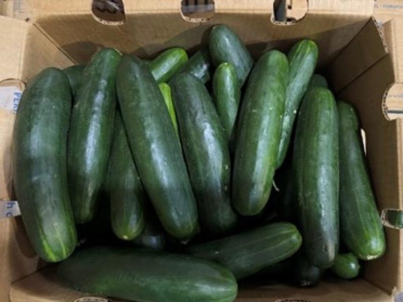 "Cucumbers Recalled in 14 States Over Salmonella Concerns"