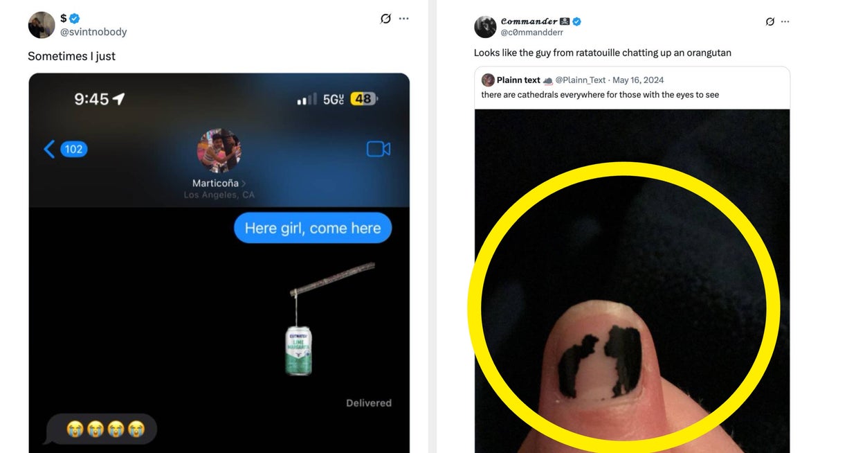 Featured image for Top Viral Funny Tweets That Will Make You Laugh Out Loud