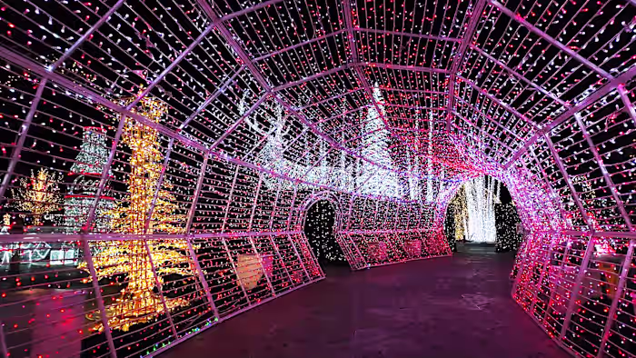 Featured image for Top Events to Enjoy in San Antonio This Weekend