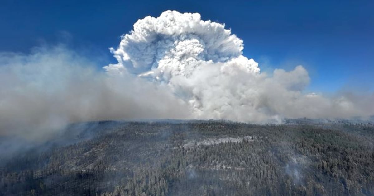 "Uncontained Cow Valley Fire in Oregon Forces Evacuations Amid Growing Wildfires"