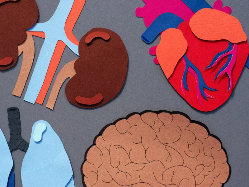 "The Multi-Organ Impact of COVID-19: Beyond Breathing"