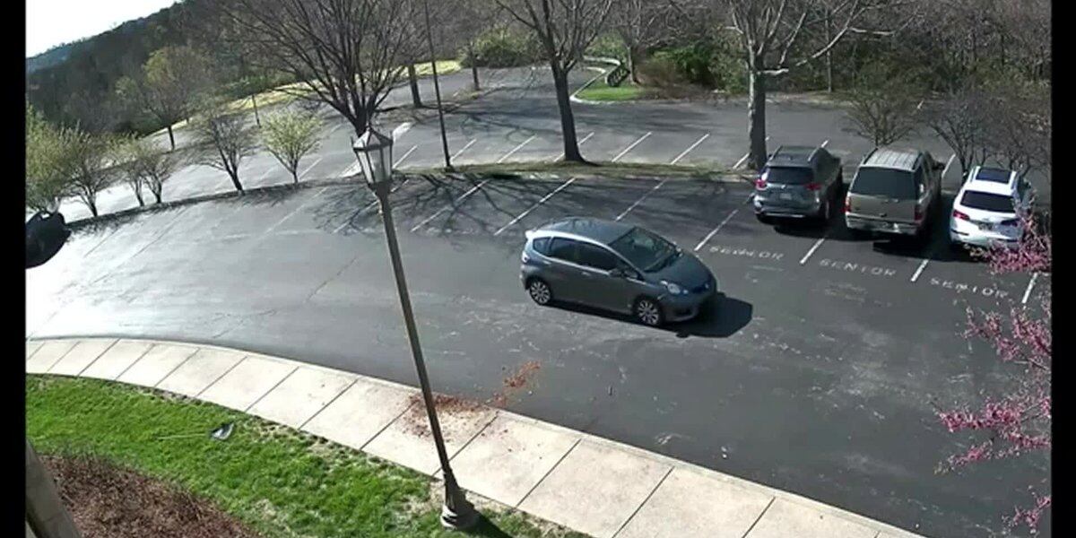 Nashville School Shooter Planned Attack for Months, Police Say