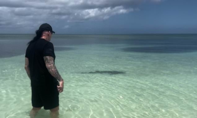 Featured image for The Undertaker's Intense Encounter: Staring Down Sharks to Protect His Wife