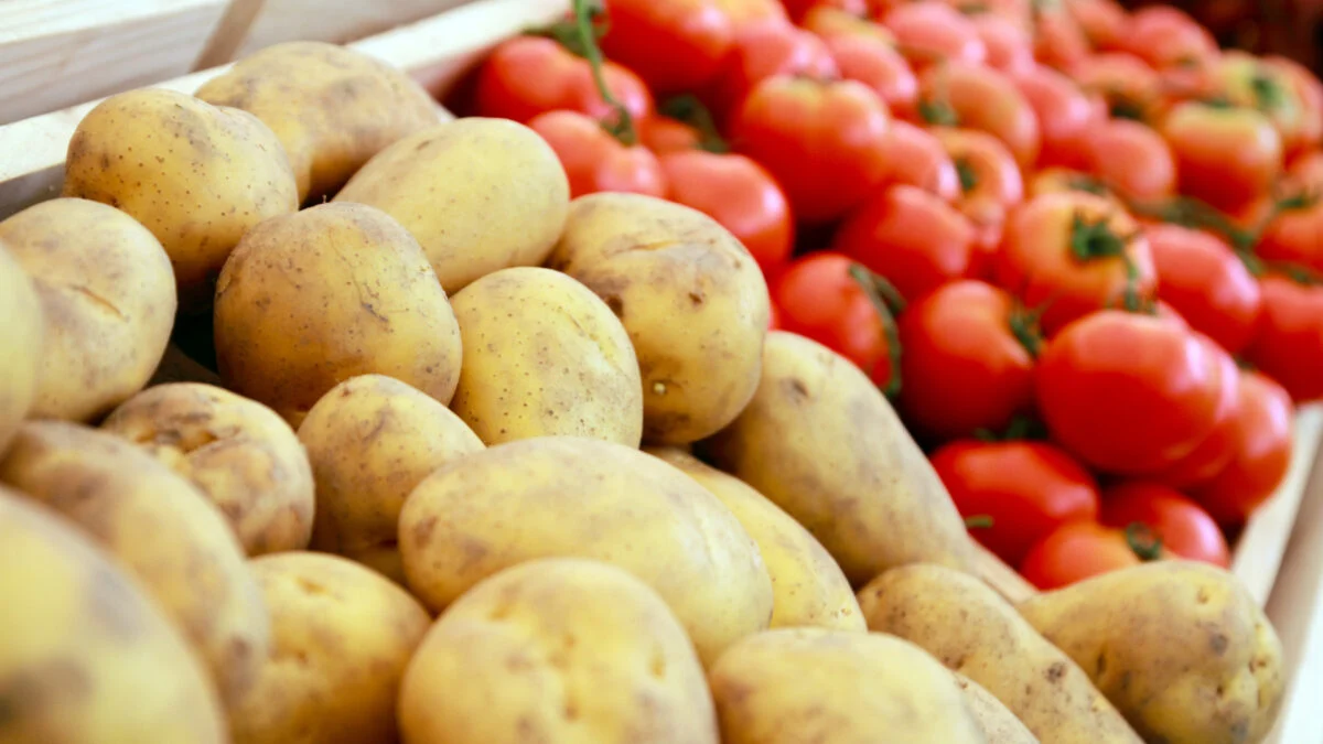 Featured image for Potatoes Originated from Tomato Ancestors, Study Finds