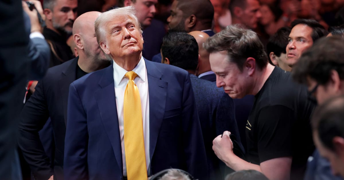 Featured image for Elon Musk and Donald Trump's tumultuous relationship impacts Tesla's market value