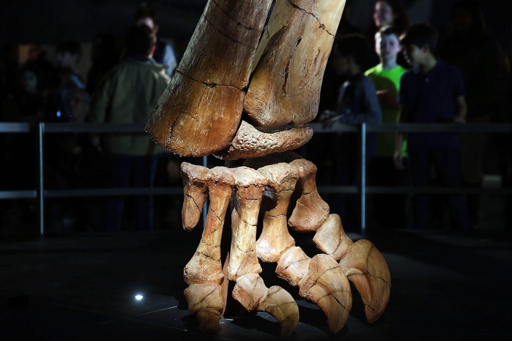 Featured image for Titanosaurs: The Largest Plant-Eating Land Animals in Earth's History