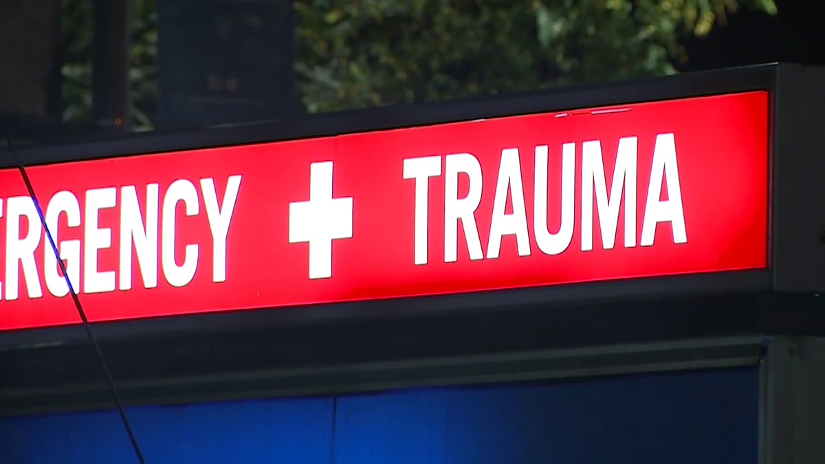 Steward Health Care Faces Financial Crisis, Considers Selling Hospitals