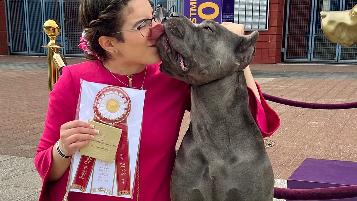 Featured image for Westminster Dog Show: Teen and Dog Duo Take Home Title.
