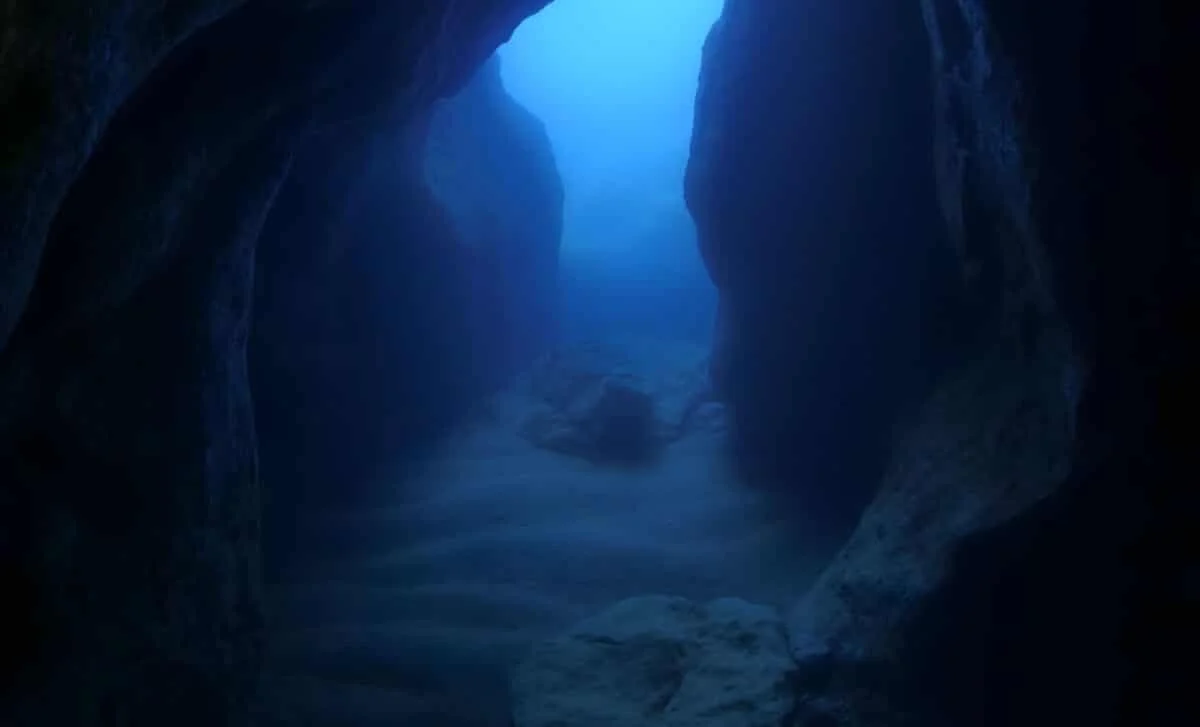 500-KM Oceanic Canyon Traced to a Tectonic Zipper, Not Erosion