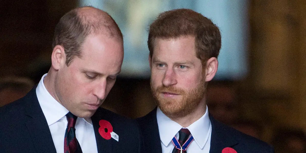 The Royal Family's Media Settlements: Prince William and Prince Harry Receive Large Sums.