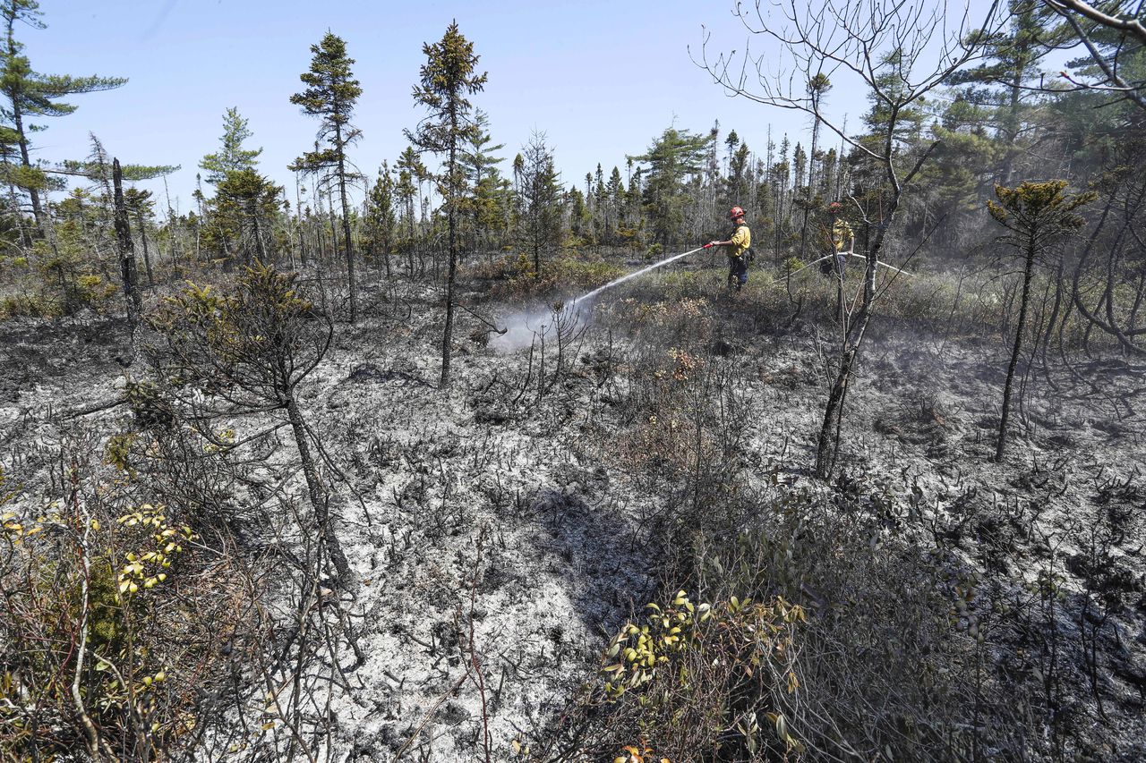 Wildfires in Canada cause poor air quality in US states.