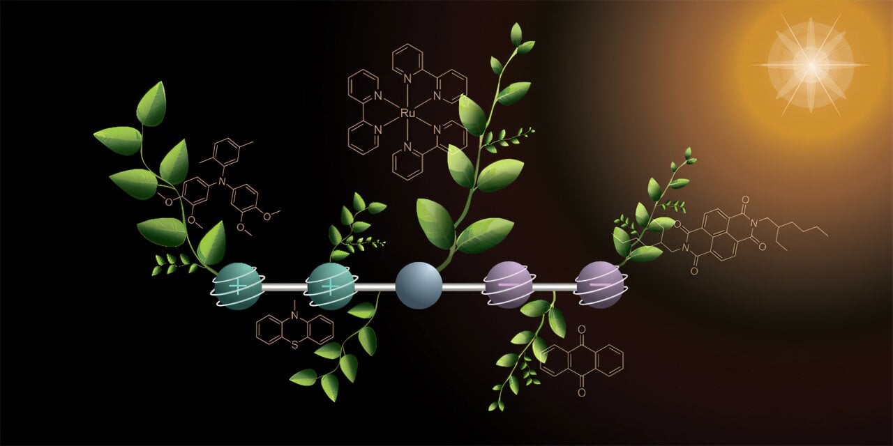 Featured image for Chemists Create Four-Charge Molecule to Boost Artificial Photosynthesis