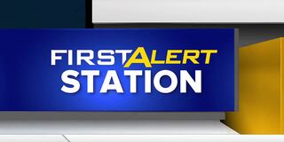 Featured image for "Sioux Falls Businesses Implement Precautions Amidst Mysterious Dog Illness"