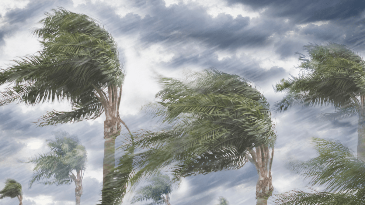 "Severe Storms and Tornado Warnings Hit South Florida"