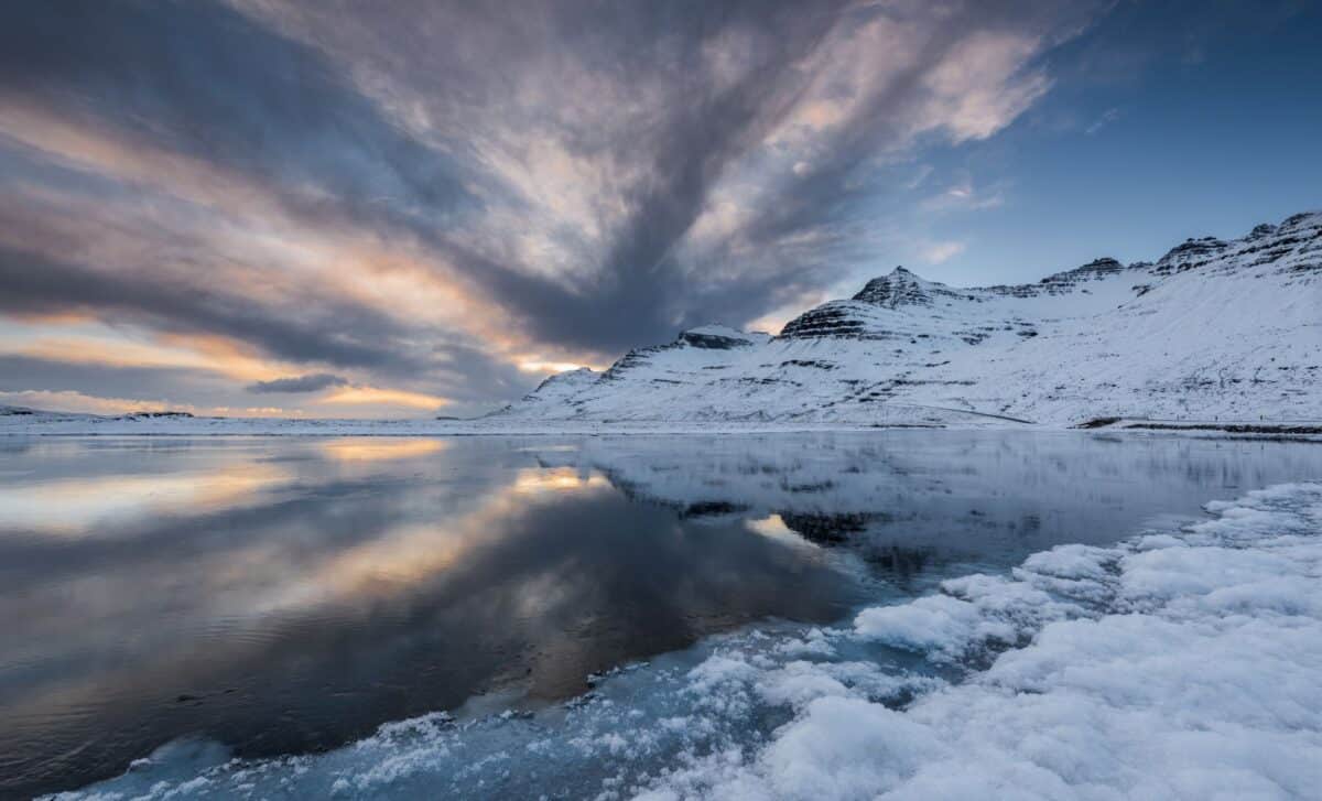 Featured image for Massive 190-Million-Year-Old Dinosaur Fossil Discovered Beneath Antarctic Ice