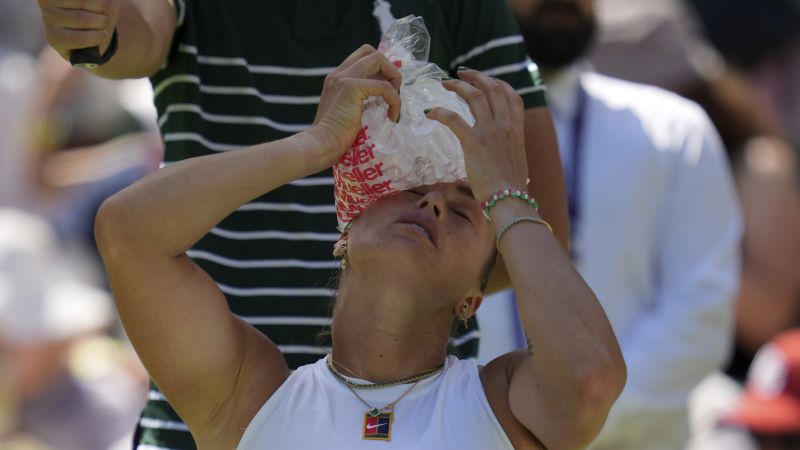 Featured image for Wimbledon Faces Record Heat and Massive Crowds on Opening Day