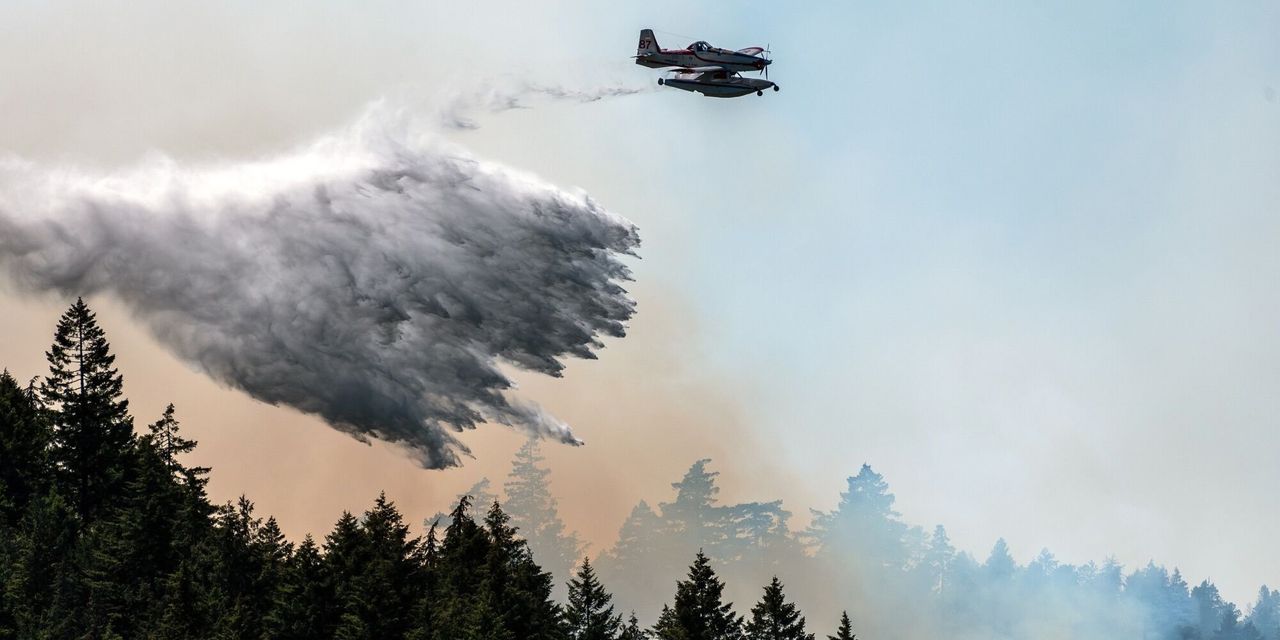 Global Wildfire Crisis: Canada's Devastating Contribution.