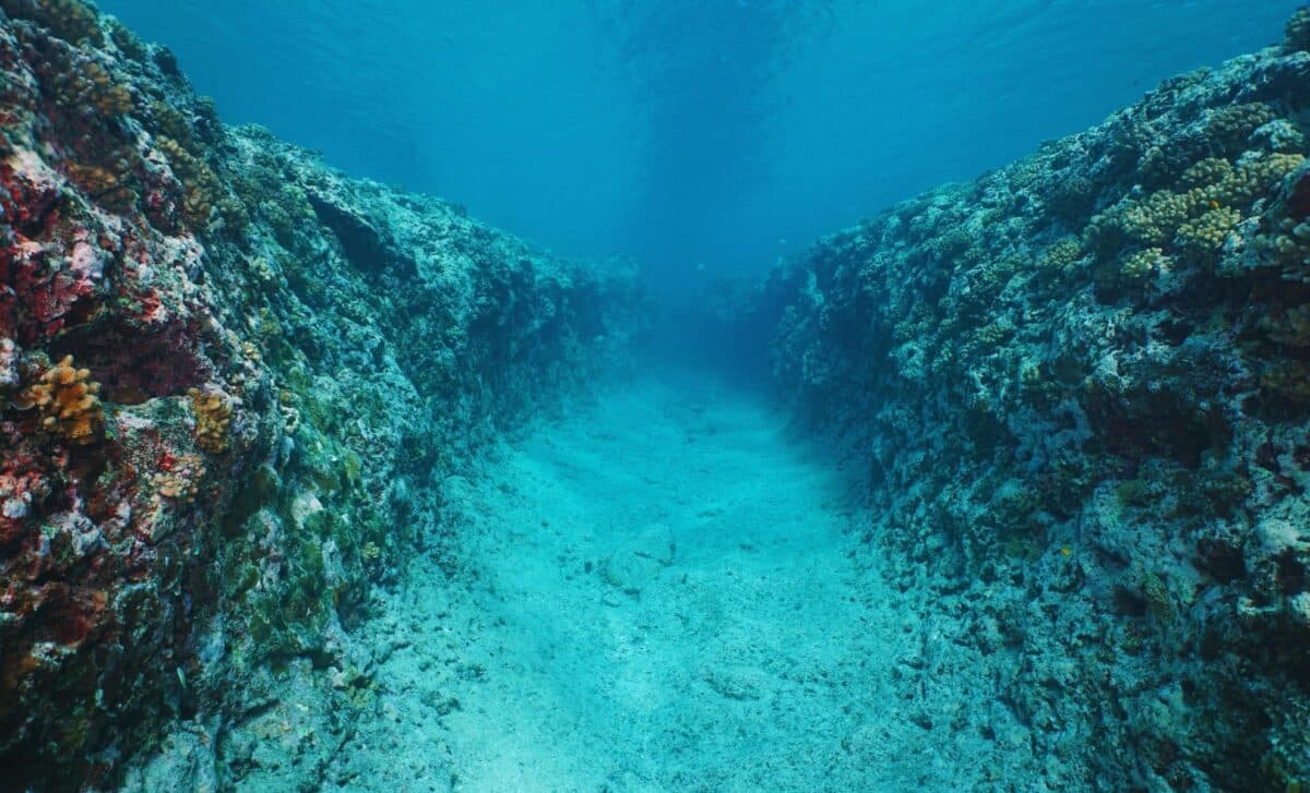 Featured image for Scientists Discover Tiny Island Concealing a Lost Continent in the Indian Ocean