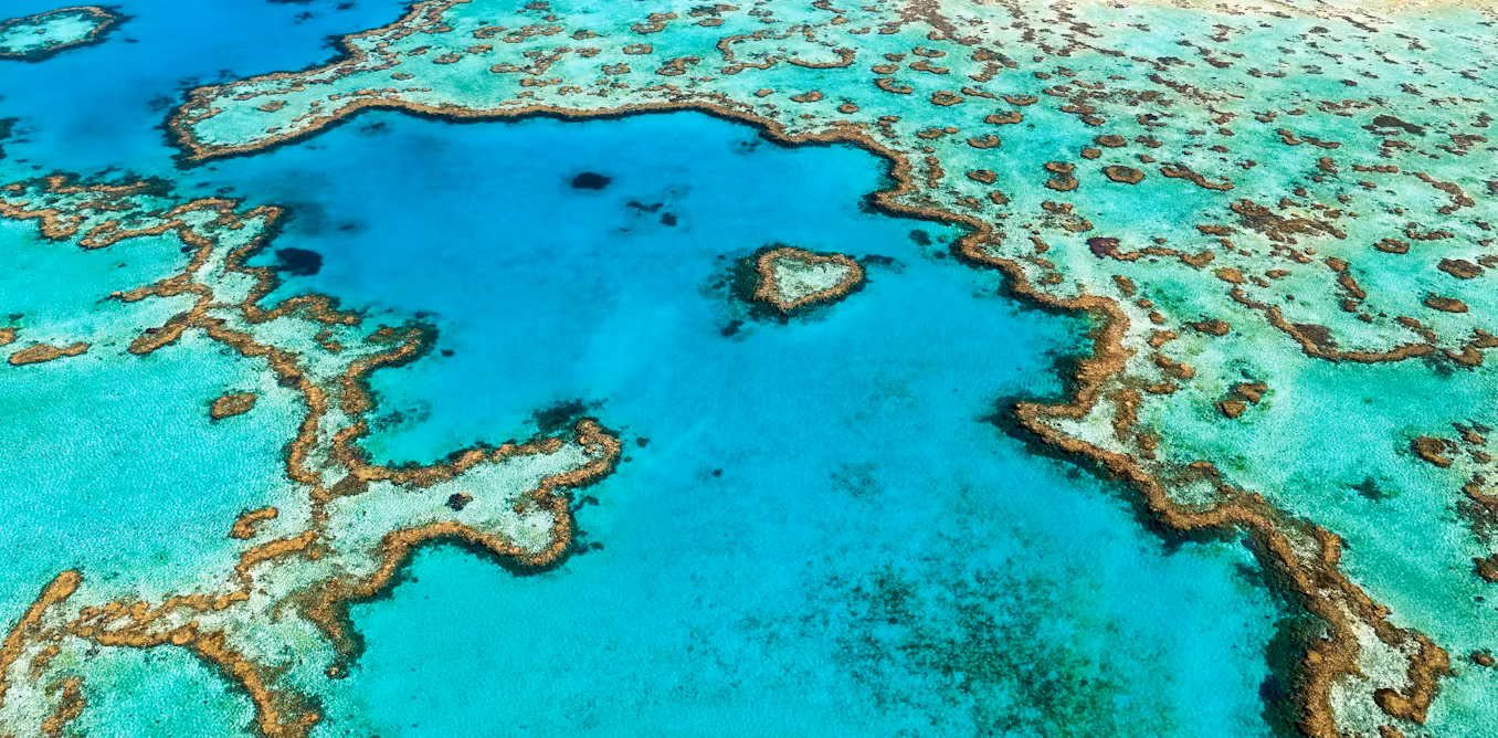 Featured image for Ancient Coral Fossils Reveal Impact of Rising Sea Levels on the Great Barrier Reef
