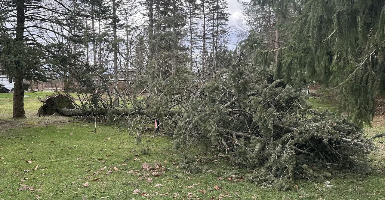 "Upstate NY Braces for High Winds and Power Outages as Another Storm Hits"