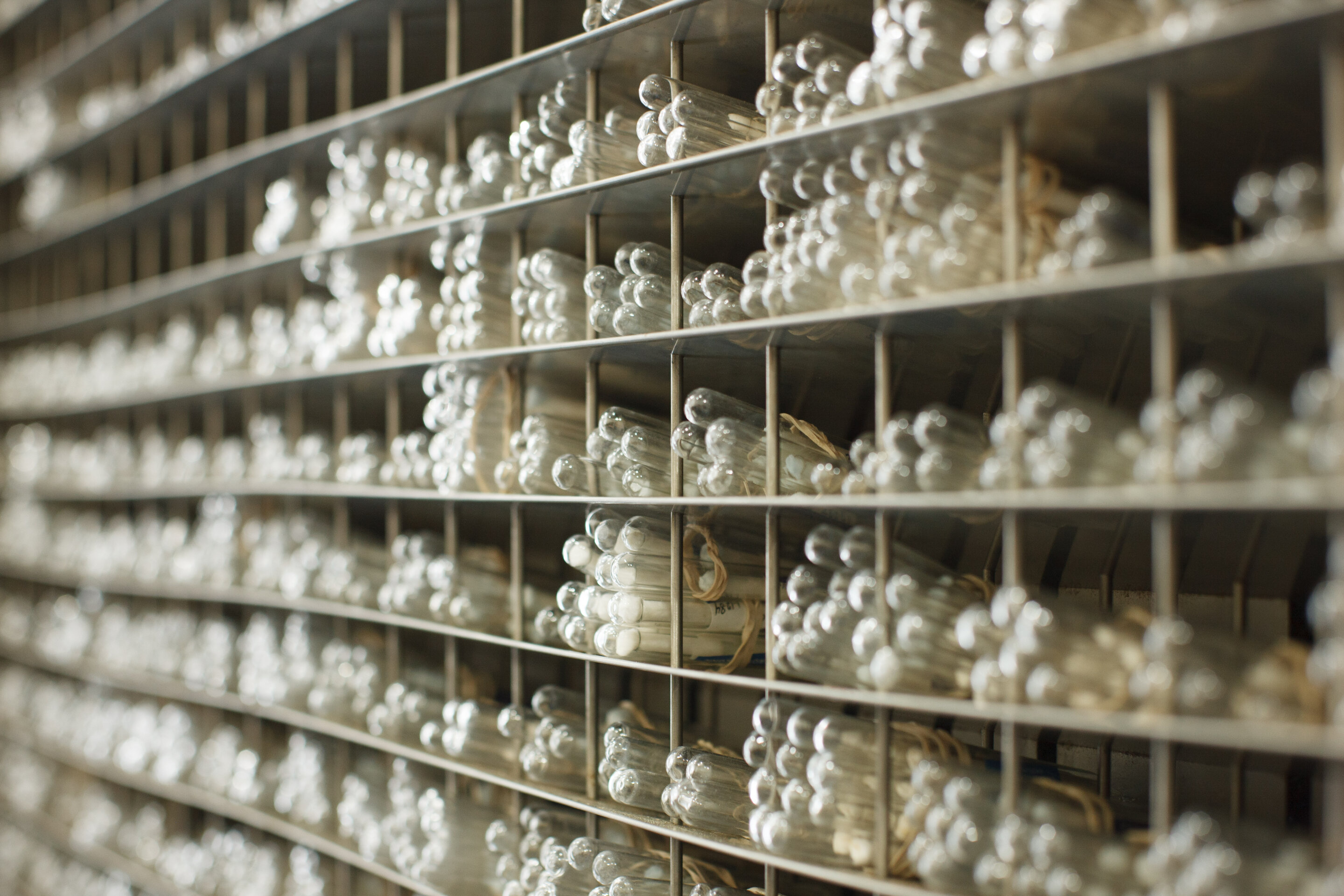 Featured image for Unlocking the Power: Scientists Uncover Key to Natural Cancer Treatment's Potency