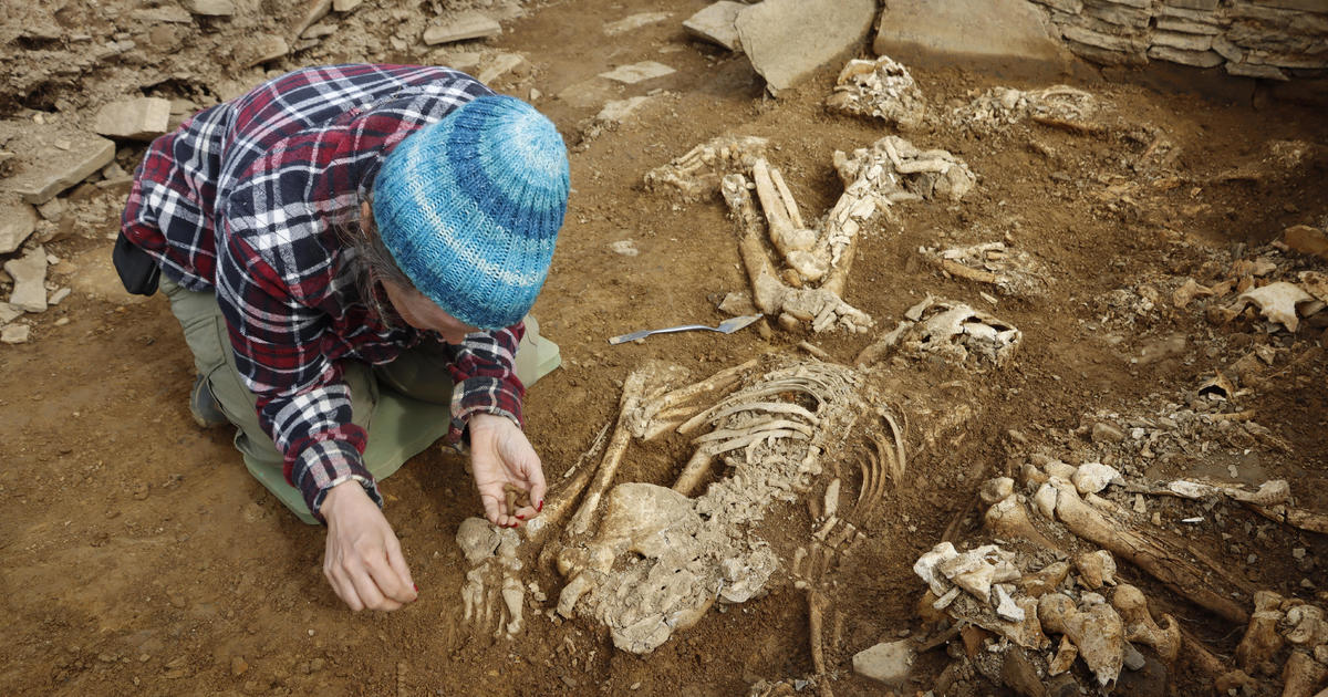 Featured image for "Archaeological Discovery: 14 Skeletons Unearthed in Ancient Scottish Tomb"